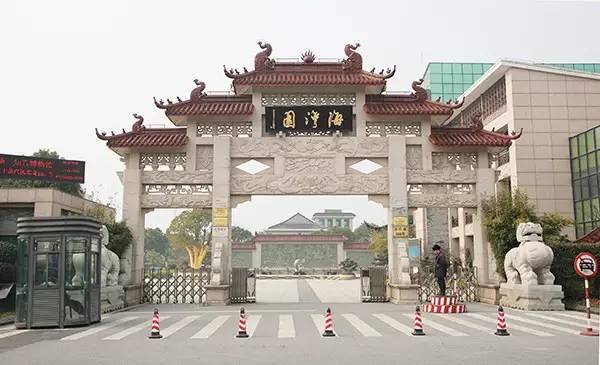 1681364975842102.jpg 31.jpg